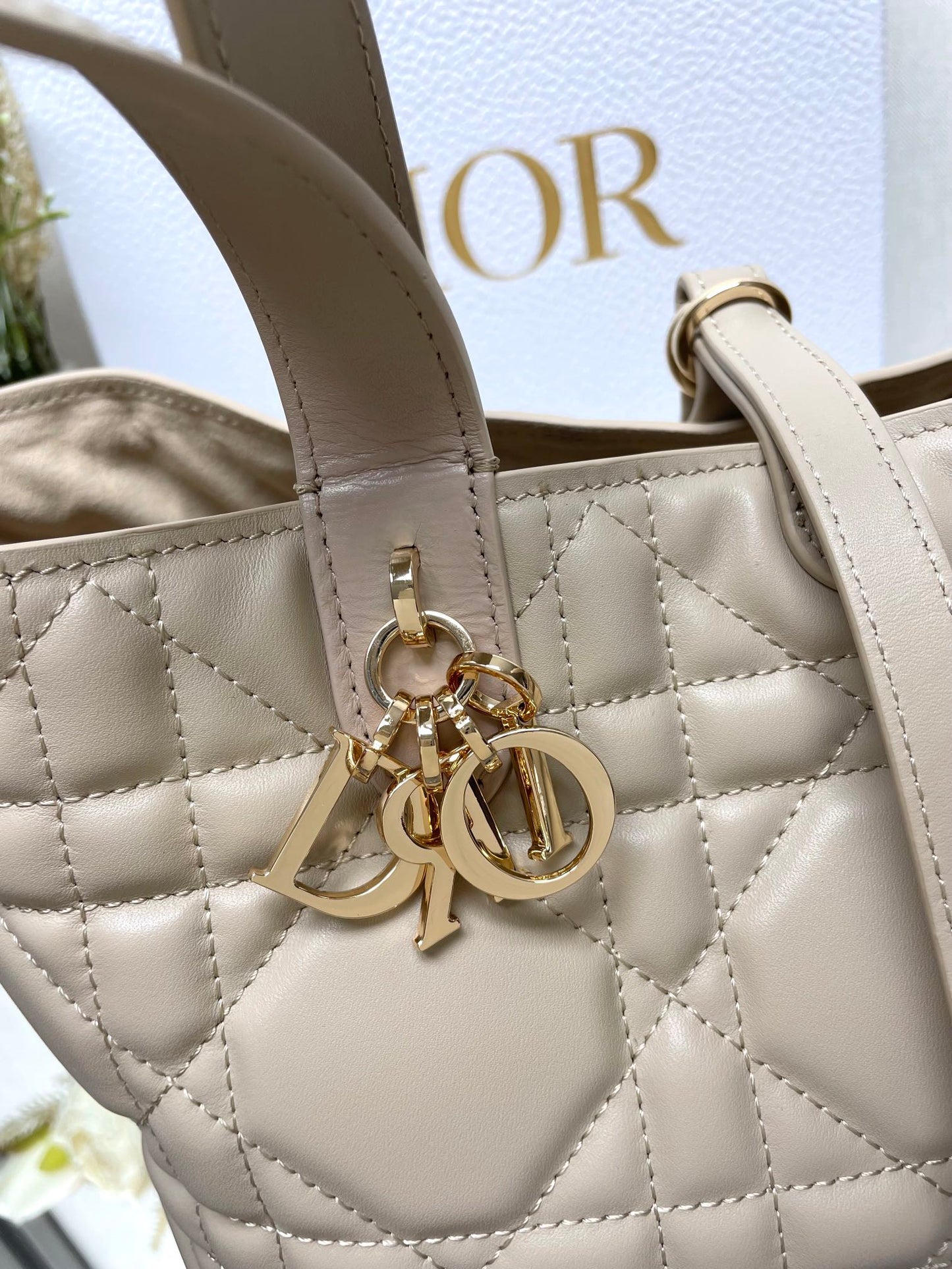 Dior Toujours Bag Small 23x15x15cm