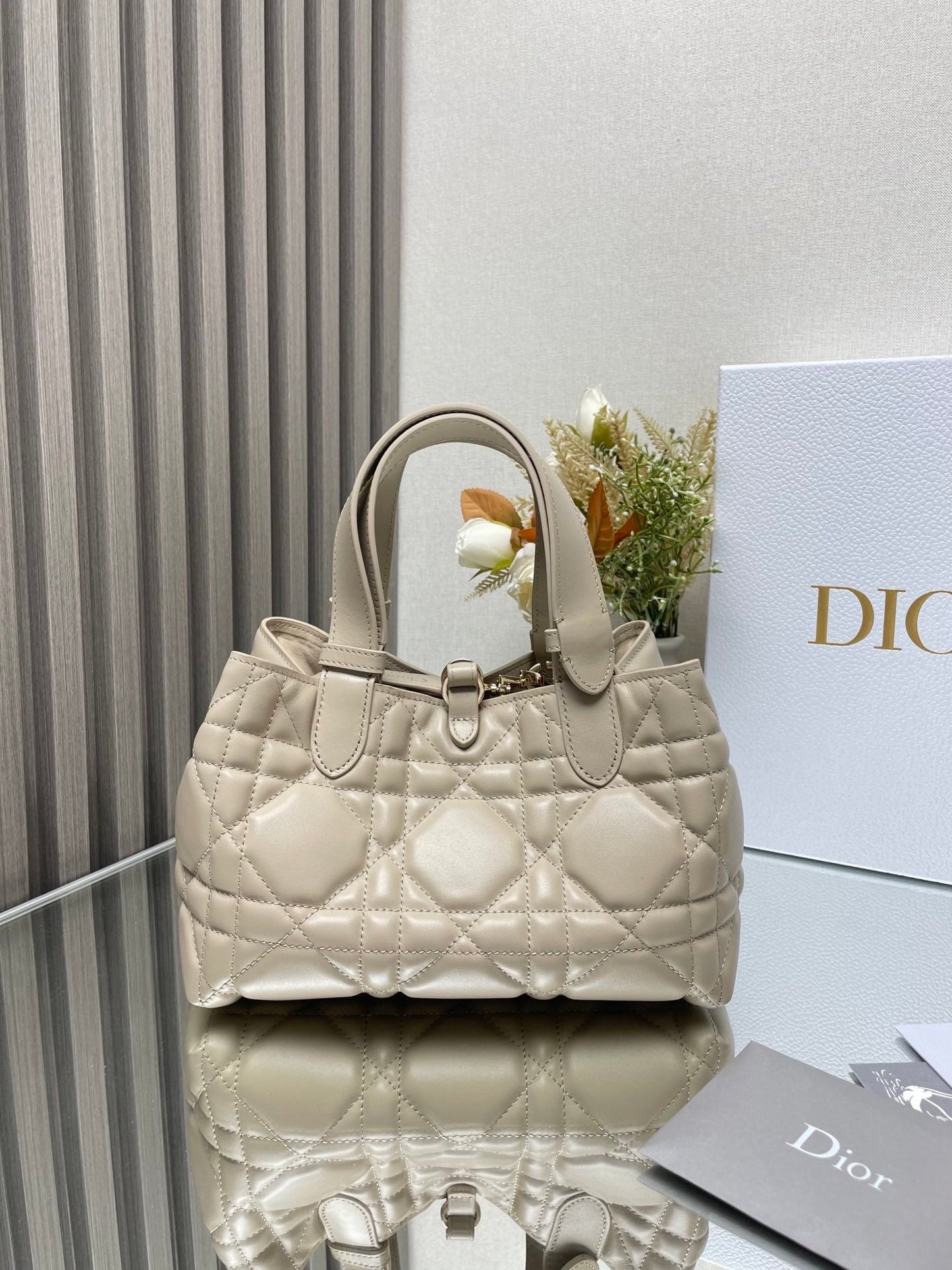 Dior Toujours Bag Small 23x15x15cm