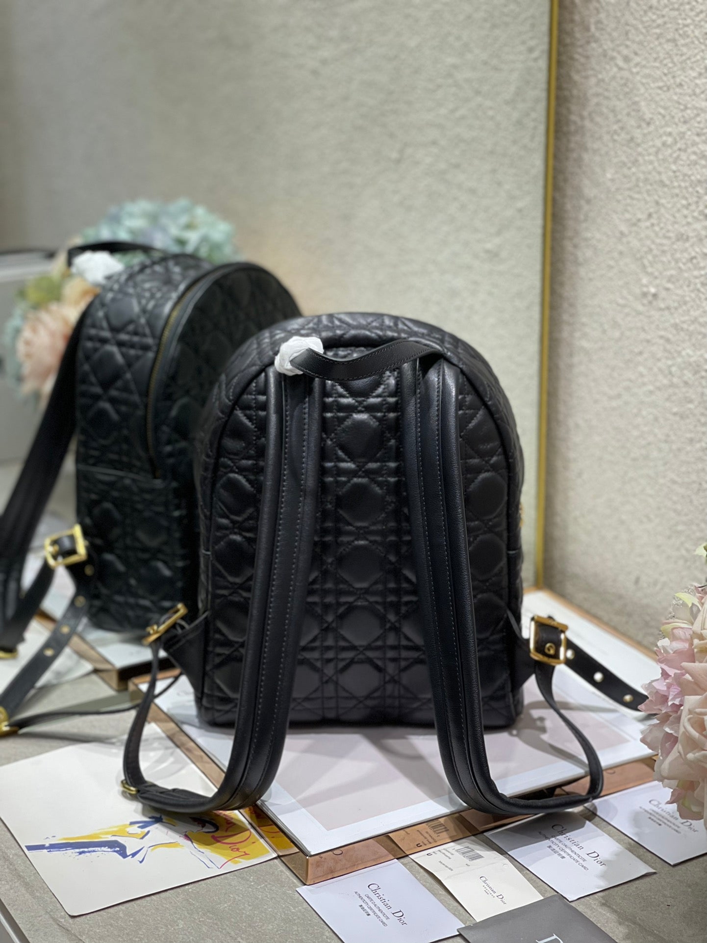 CD Backpack